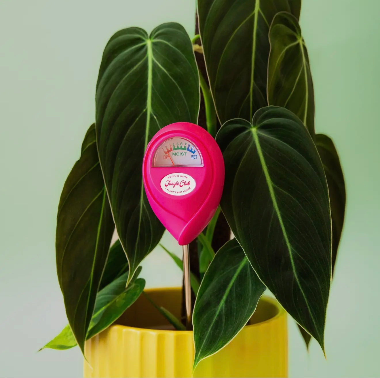 Moisture Meter | Hibiscus