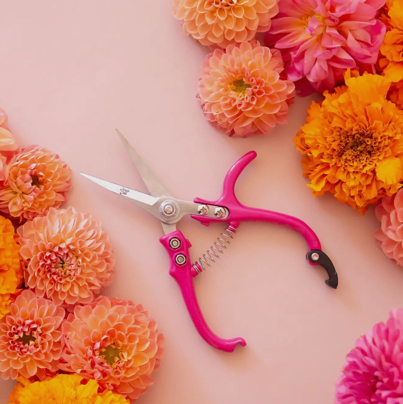 Pruning Shears | Hibiscus
